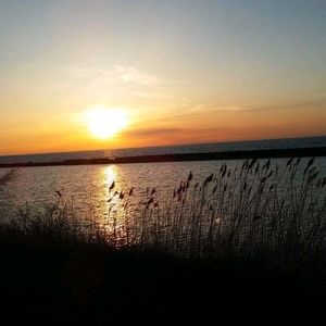 Meet your Posher, Mel